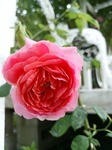 DSC_0706.jpg