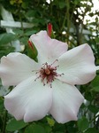 DSC_0710.jpg