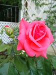 DSC_0714.jpg