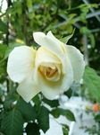 DSC_0719.jpg