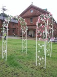 IMG_20160714_153816.jpg