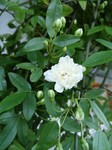 DSC_2055.jpg